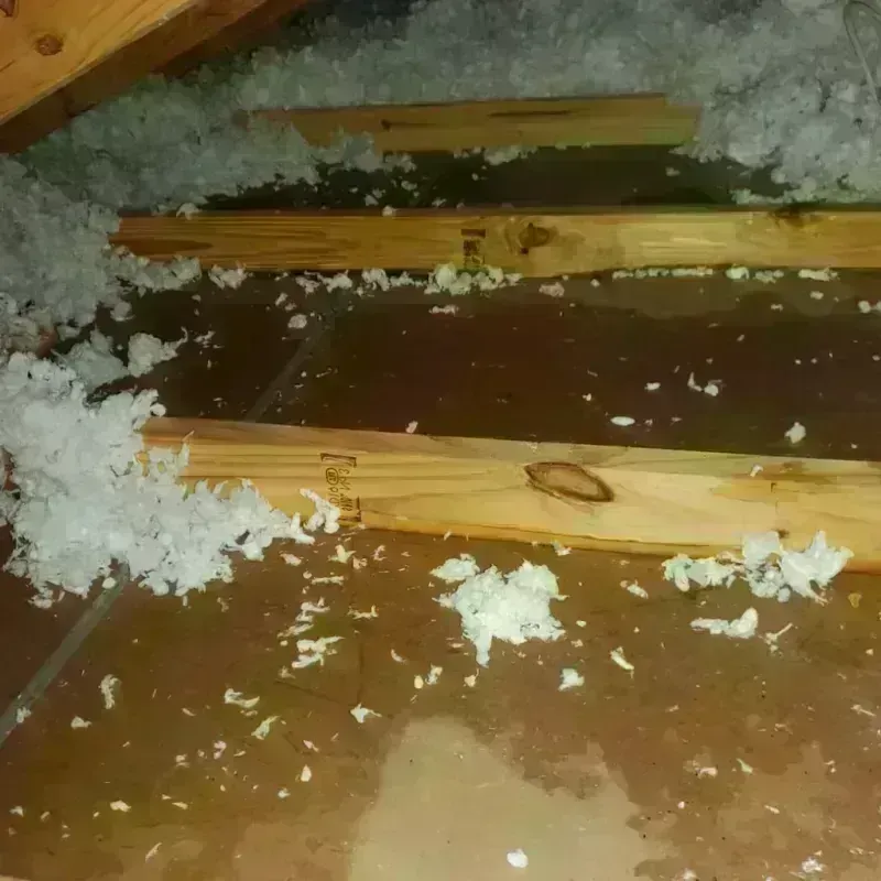 Attic Water Damage in City of Roanoke, VA