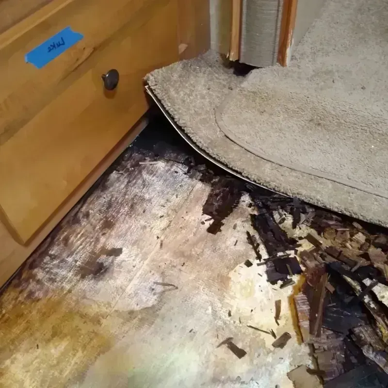 Wood Floor Water Damage in City of Roanoke, VA